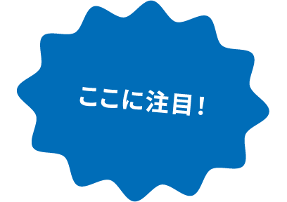 ここに注目！